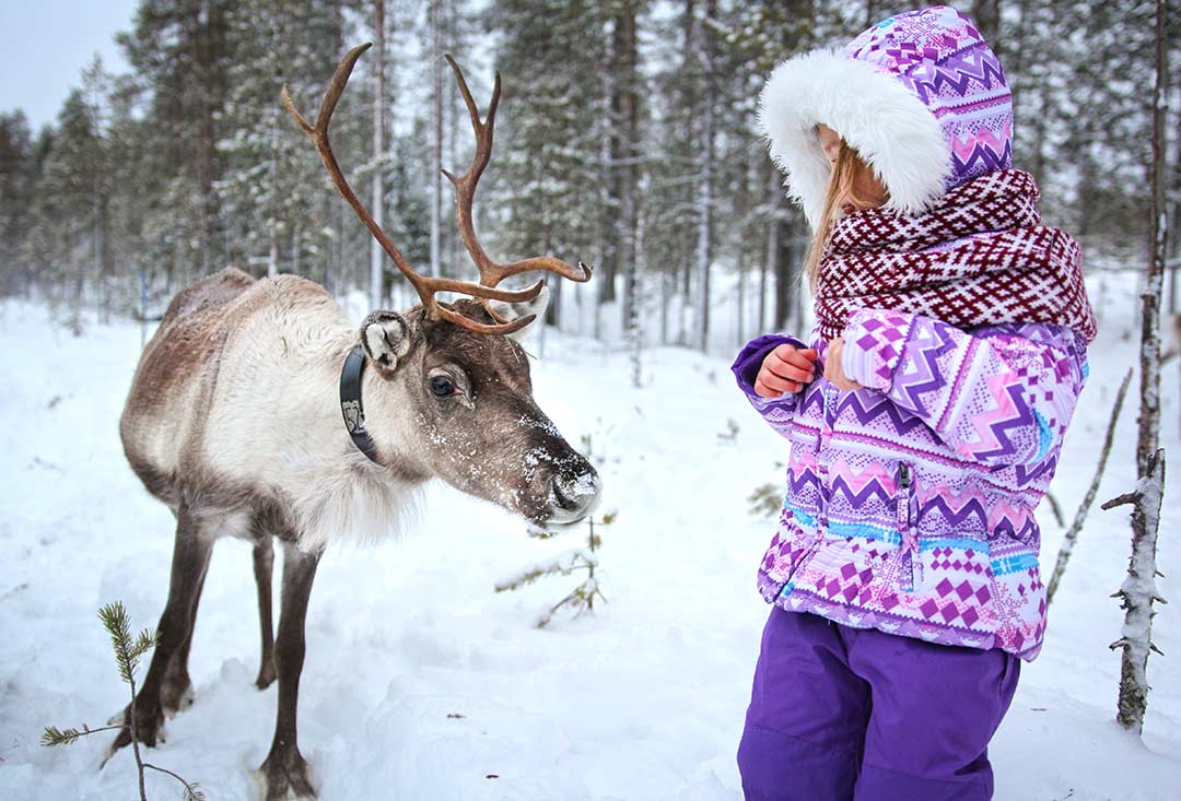 Visit to reindeer farm and reindeer sledge ride - Ruka Adventures